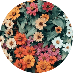 Tumblr Aesthetic Flowers Flower Rose Roses - Aesthetic Flowers Aesthetic Png