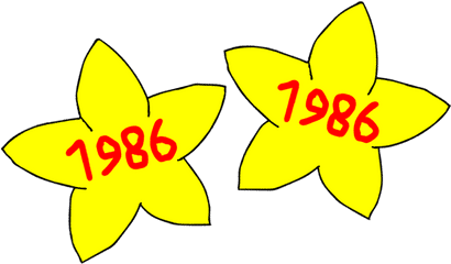 Yellow 1986 Stars Ltag1986 Big Balloon Parade Wiki Fandom - Orchid Png