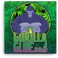 Gorilla Glue - Gorilla Glue Sticker Png