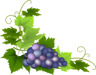 Autumn Border Grapes Png Free