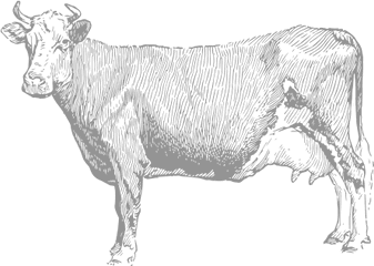 What Is Ozaki Beef Marble Kappo Png Cattle