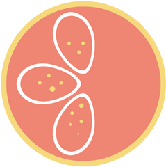 Orange Circle Logo Graphics Grapefruit - Soda Png