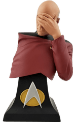 Captain Picard - Picard Facepalm Bust Png