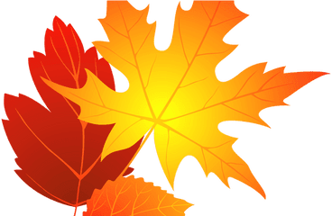 Flower Clipart Transparent Background - Fall Leaf Clip Art Png