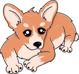 Corgi - Dorgi Png