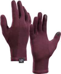 Gothic Glove - Arcteryx Gothic Glove Png