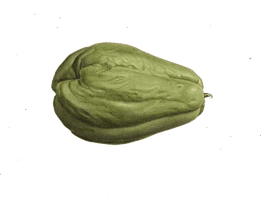 Fresh Chayote Photos PNG Image High Quality