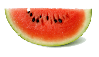 Watermelon Png