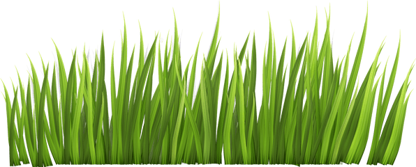 Free Cartoon Grass Transparent - Rumput Png