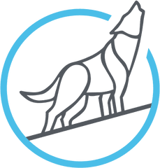 Humanai Forex Trade Copier Service Algo International - Dog Png