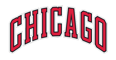 Chicago Bulls Image - Free PNG