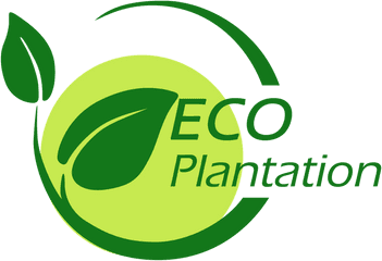 Email Logo Template - Plantation Logo Png