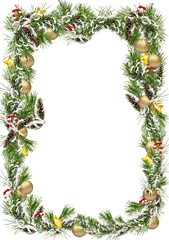 Josue Gonzalez - Christmas Pine Border Png