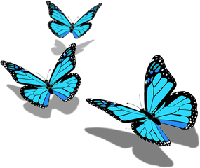 Download Monarch Butterfly - Butterfly Png Hd Download