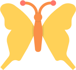 Butterfly Spring Insect Monarch - Icon Png