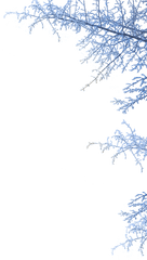 Winter Wonderland Png Images In - Winter Themed Png