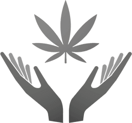 Why Is It Illegal To Possess Cannabis Federally Green - Cannabis Swag Png