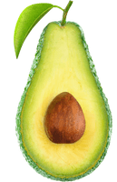 Picture Avocado Half Free PNG HQ