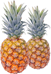 Pineapple Fruit Transparent Png Images - Transparent Pineapples Png