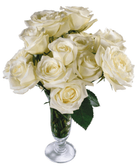 Bouquet Of White Roses Png Picture 461599 - White Flower Bouquet No Background