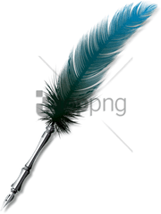 Free Png Download Feather Pen Images Background - Mor Small Feather Pen Transparent Background