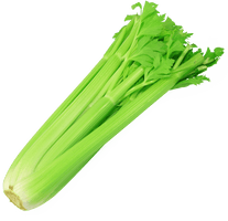 Celery Fresh Green Download Free Image - Free PNG