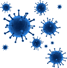 Covid - Corona Virus Png Vector