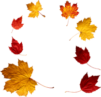 Autumn Leaves File - Free PNG