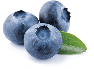 Blueberry - Germinal Organic Food Png