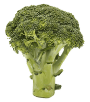 Broccoli Transparent Image - Free PNG