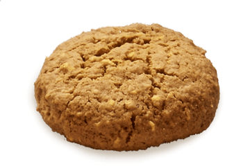 Lucyu0027s Gluten - Free Cookies Pumpkin Patch Cookies Pumpkin Spice Cookies Transparent Png