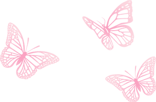 Butterfly Pink Painted Three Euclidean Vector - Free PNG