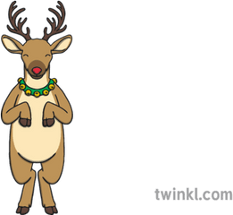 Standing Rudolph Reindeer Animal Hind Legs Red Nose - Reindeer Twinkl Png