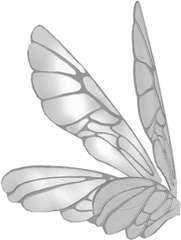 Download Wings Butterflywings Butterfly - Fairy Wings Side View Png