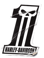 Motorcycle Customization - Logo Harley Davidson Skull Png