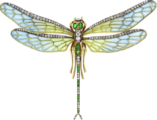 Dragonfly Png Transparent Images