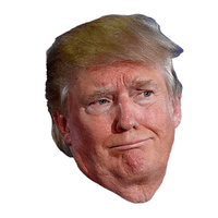 Funny United Trump Face States Donald Chin - Free PNG