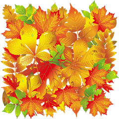 Transparent Fall Leaves Autumn Subway Art Png Leaf