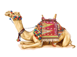 Camel Png 2