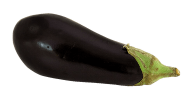 Single Brinjal Eggplant HQ Image Free - Free PNG