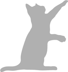 Download Hd Vigor Sage Small Youg Cat - Silhouette Black Cat Tattoo Png