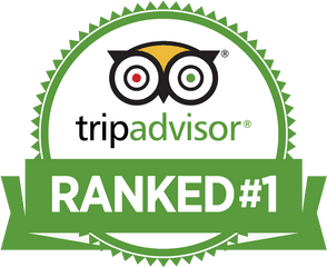 Treasure Seekers Shell Tours U2013 Florida - Tripadvisor Ranked Logo Png