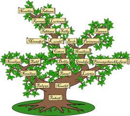 Top Clicks Links - Family Tree 1070x958 Png Clipart Download Family Tree Clara Barton Family