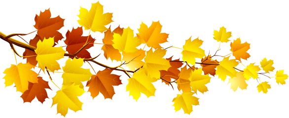 Free Maple Branch Cliparts Download Clip Art - Fall Leaves Clip Art Png