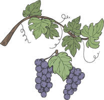 Grape Vine Leaf Art Free Clipart HD - Free PNG