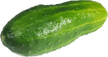 Green Cucumber Png Image