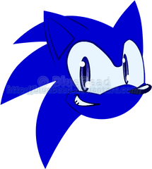 Download Sonic The Hedgehog Head Icon - Sonic The Hedgehog Kafas Png