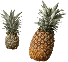 Cut Pineapple Transparent Png - Stickpng Does A Good Pineapple Look Like