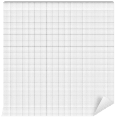 Graph Paper Pattern Real Scale Wall Mural U2022 Pixers We Live To Change - Paper Png