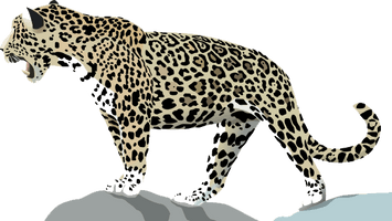 Jaguar Transparent - Free PNG